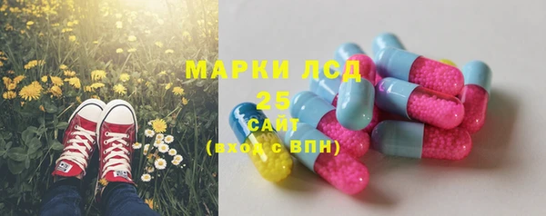 дживик Алзамай