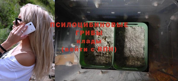 прущие грибы Алексеевка