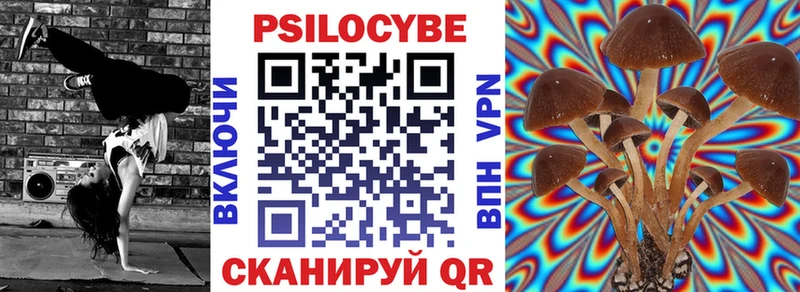 Галлюциногенные грибы Psilocybe  Благодарный 