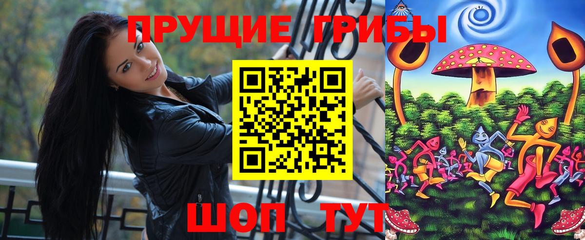 Благодарный  Галлюциногенные грибы MAGIC MUSHROOMS  Вход с VPN 